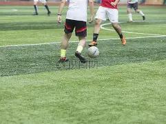 美巡三级赛,事引入慢打,禁令,欧博娱乐官网,欧博娱乐官网在线娱乐平台